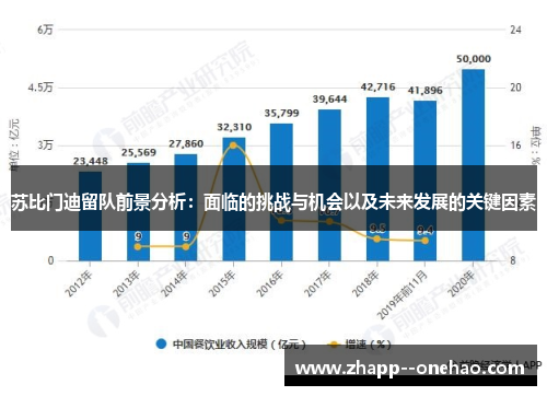 苏比门迪留队前景分析：面临的挑战与机会以及未来发展的关键因素