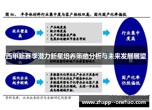 西甲新赛季潜力新星培养策略分析与未来发展展望